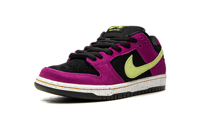 Nike SB Dunk Low ACG Terra Red Plum