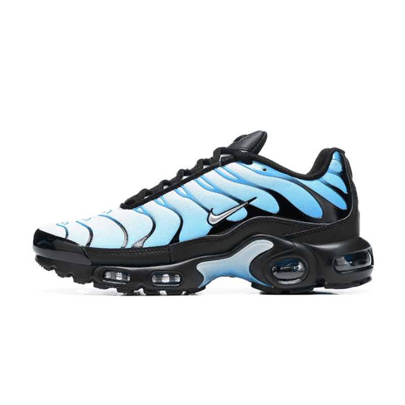 Air Max TN Plus Blue Gradient